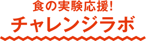 チャレンジラボ